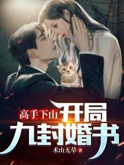 高手下山开局九封婚书韩风赵旋