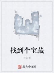寻找宝藏出处