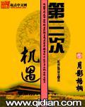 第三次机遇txt
